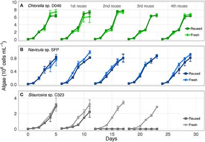 Reused Cultivation Water Accumulates Dissolved Organic Carbon and Uniquely Influences Different Marine Microalgae